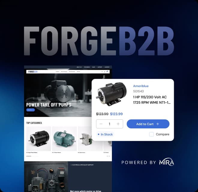 New Launch: ForgeB2B Website Accelerator